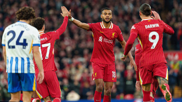 的球员总能 的球员总能