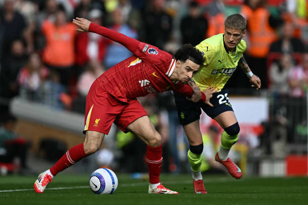 然之美的影 然之美的影